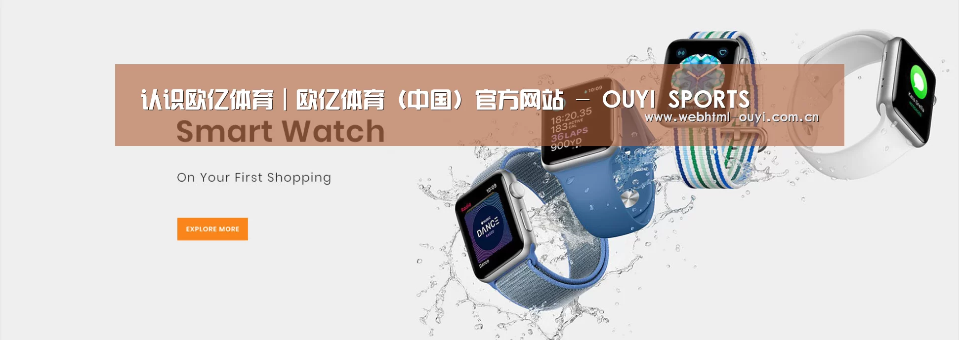 某某网络科技有限公司