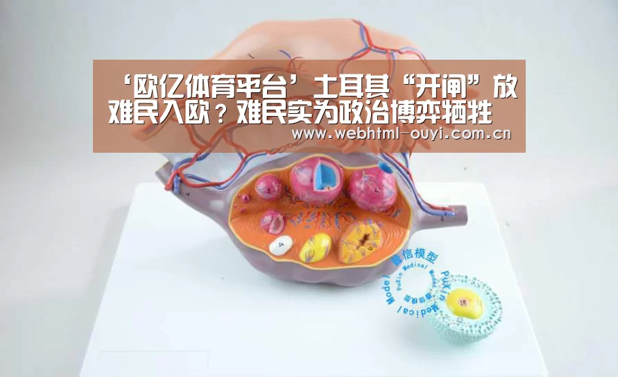 欧亿体育
