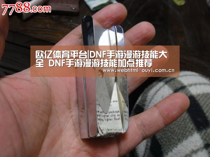 欧亿体育平台|DNF手游漫游技能大全 DNF手游漫游技能加点推荐(图4) 欧亿体育平台