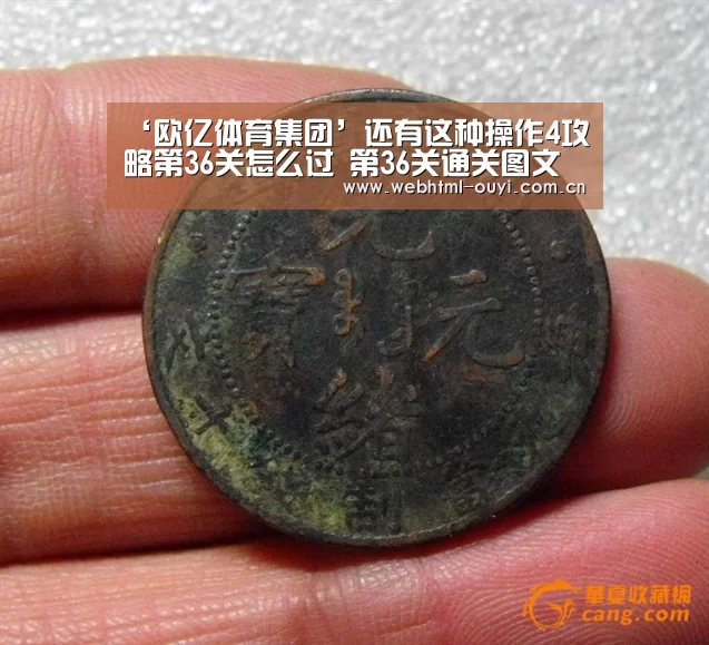 欧亿体育公司