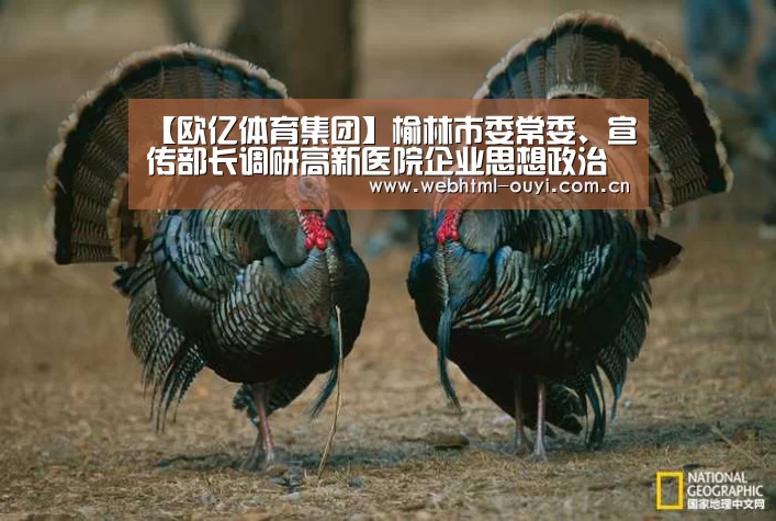 【欧亿体育集团】榆林市委常委、宣传部长调研高新医院企业思想政治和党建工作(图2) 欧亿体育